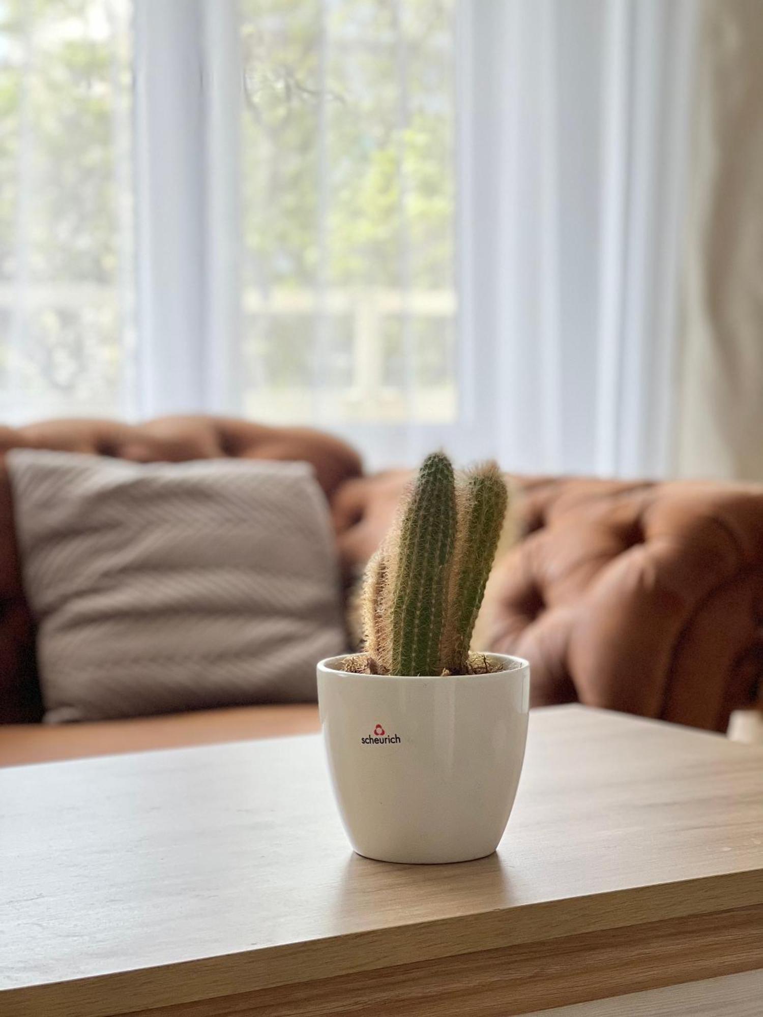 Apartment Dk.rooms *