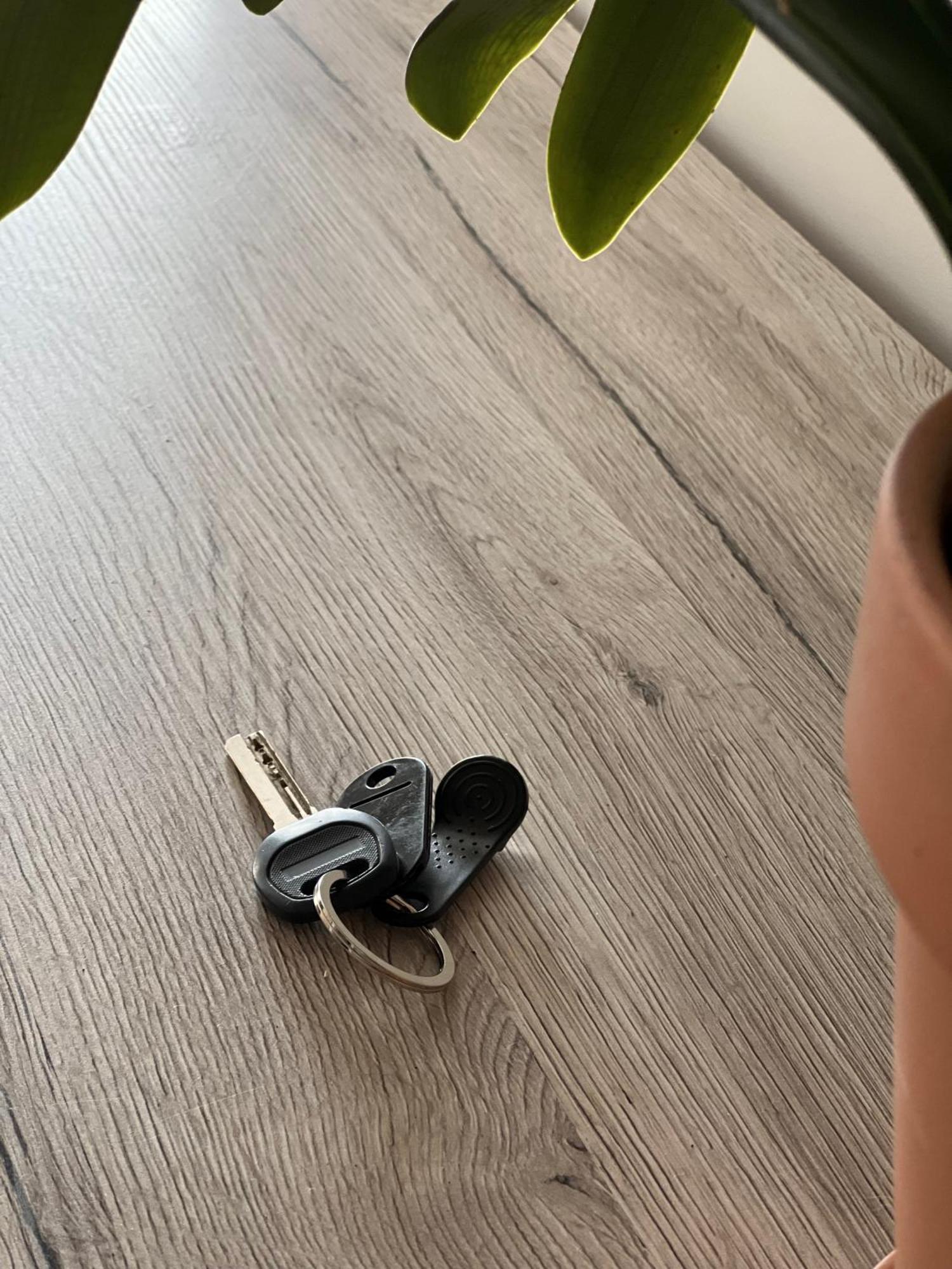 Apartment Dk.rooms *
